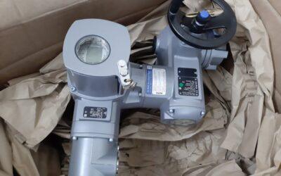 CCPP Bearing Import to USA: Document Risks That Can Cause Customs Hold